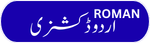 Roman Urdu to English